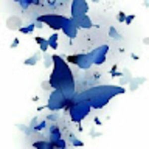 Meet your Posher, Sunita